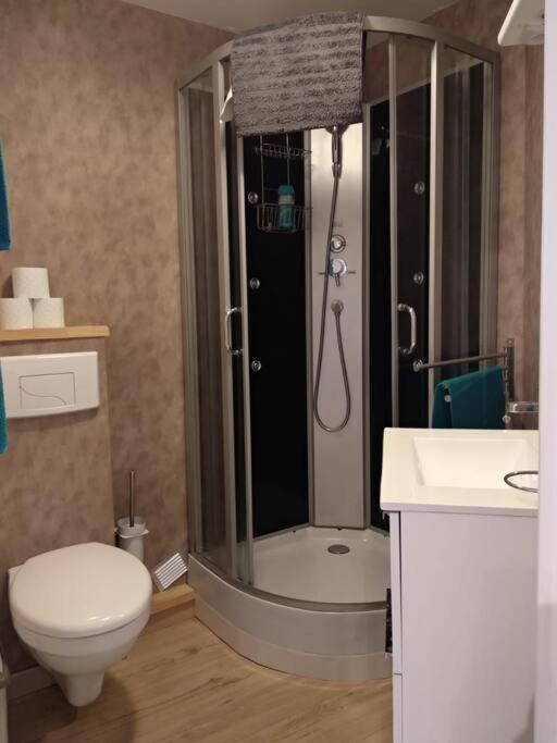 Appartement Centre Ville Rose トゥールーズ エクステリア 写真