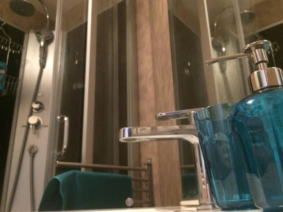 Appartement Centre Ville Rose トゥールーズ エクステリア 写真