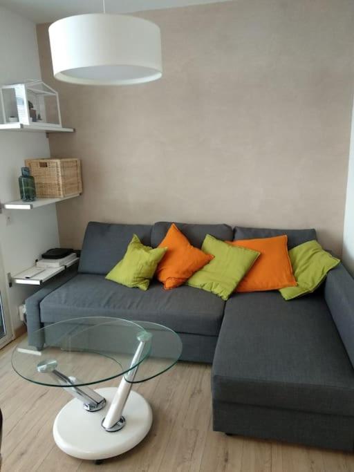 Appartement Centre Ville Rose トゥールーズ エクステリア 写真