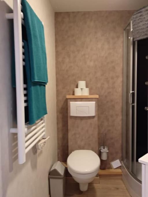 Appartement Centre Ville Rose トゥールーズ エクステリア 写真